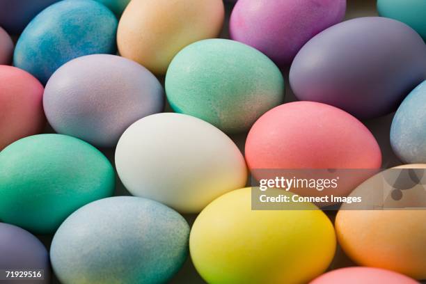 colourful eggs - easter egg stock pictures, royalty-free photos & images