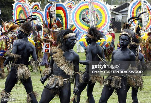 Goroka, PAPUA NEW GUINEA: Waikondo dancers covered in charcoal from Simbu perfom in front of Rainbow Gahisi dancers during the 50th Goroka singsing...