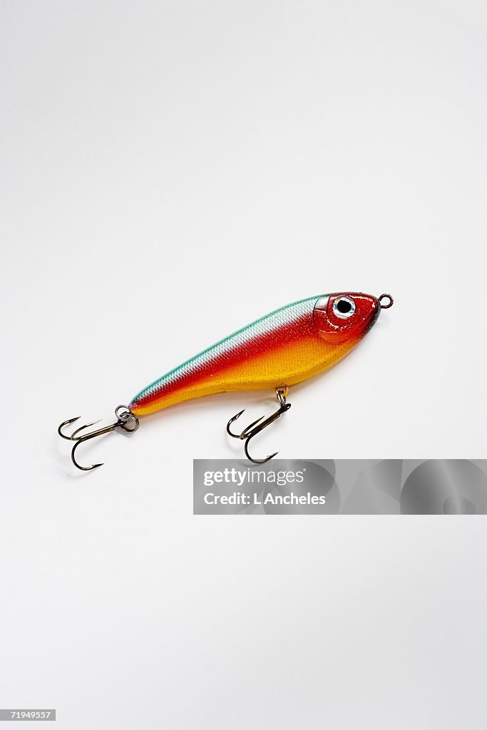 A lure on a white background.