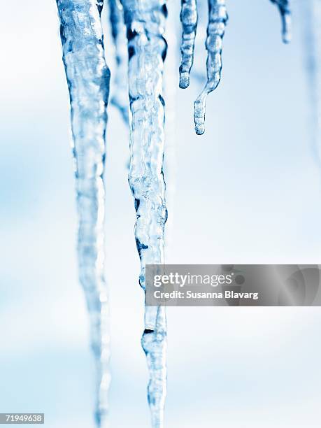 icicles on a white background. - ijspegel stockfoto's en -beelden