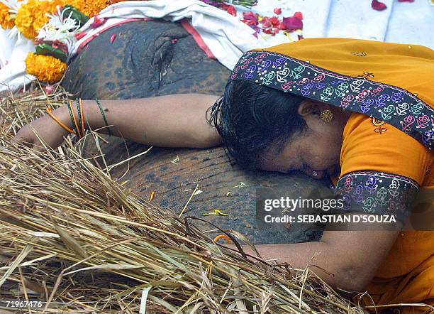 Indian woman Kanchandevi Panday grieves over the dead body of a Laxmi 25 year-old female elephant as she lies on a bed of hay in the compound of a...
