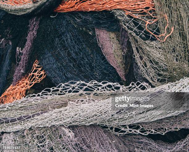 Tangle Net Tangled Net Photos and Premium High Res Pictures - Getty Images