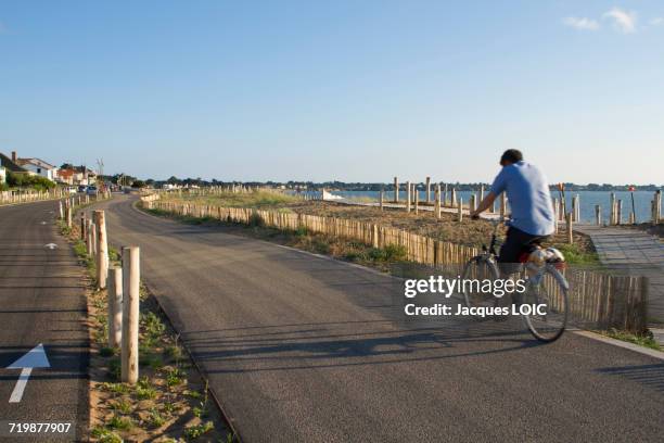 france, north-western france, saint-michel-chef-chef, tharon-plage, man riding a bike on the bicycle path along the sea - loire atlantique stock pictures, royalty-free photos & images