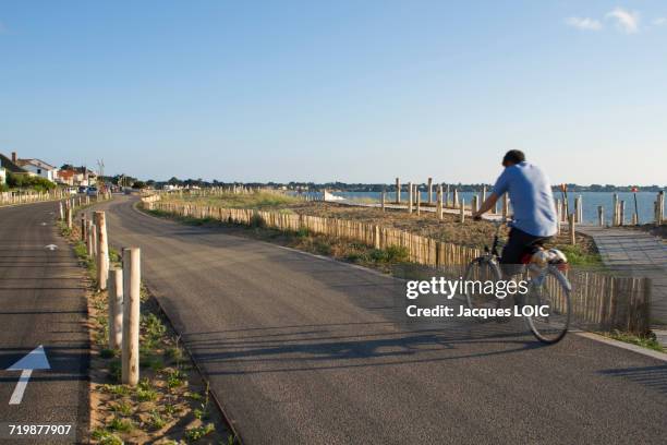 france, north-western france, saint-michel-chef-chef, tharon-plage, man riding a bike on the bicycle path along the sea - loire atlantique 個照片及圖片檔