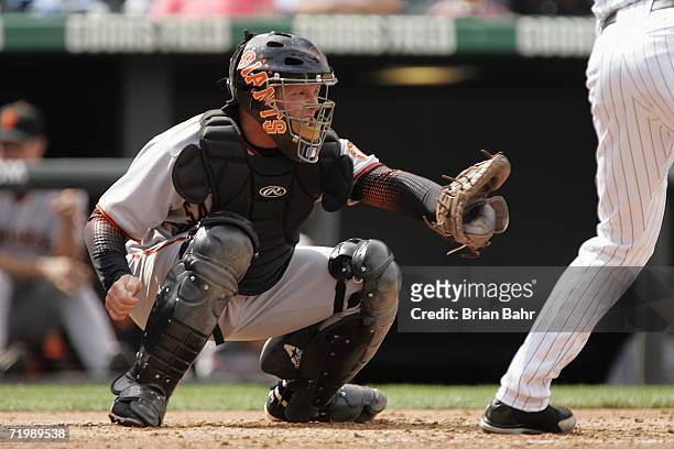 Catcher Todd Greene of the San Francisco Giants waits for the pitch from behind home plate during a game against the Colorado Rockies at Coors Field...