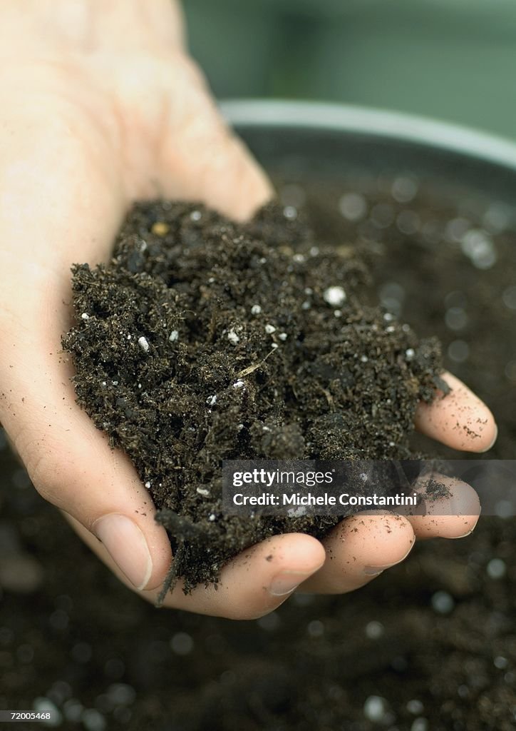 Handful of soil