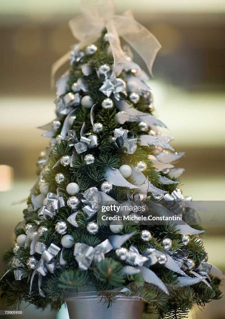 Miniature christmas tree