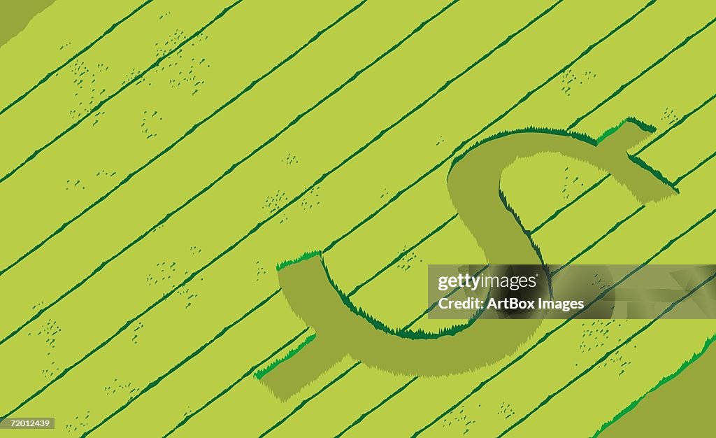 High angle view of a dollar sign etched on a field