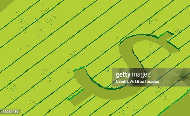 high angle view of a dollar sign etched on a field - crop circles stock illustrations