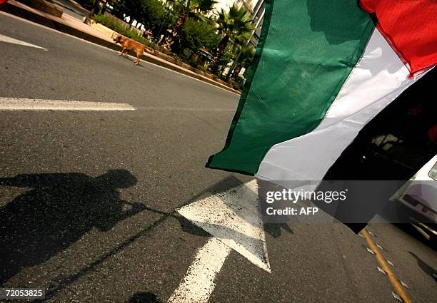 The shadow of a demonstrator holding a Palaistinian flag is pictured outside the US embassy during a demonstration in Athens, 30 September 2006....