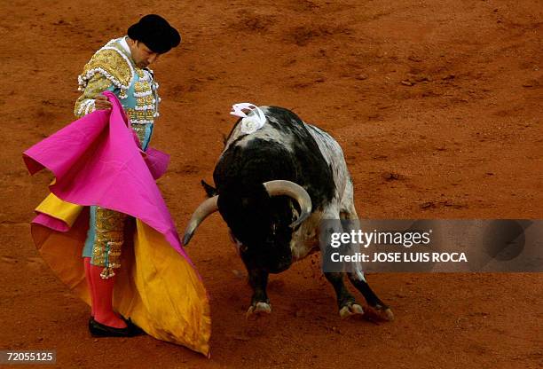Cesar Rincon 202 Cesar Rincon Stock Photos, High-Res Pictures, and Images - Getty Images
