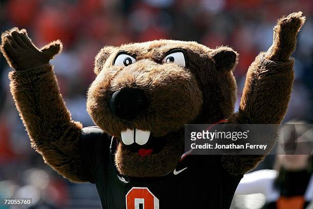 The mascot of the Oregon State Beavers against the California Golden Bears on September 29 2006 at Reser Stadium in Corvalis, Oregon.