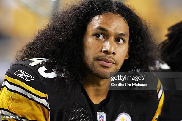 Strong safety Troy Polamalu of the Pittsburgh Steelers watches the game against the Miami Dolphins on September 7, 2006 at Heinz Field in Pittsburgh,...