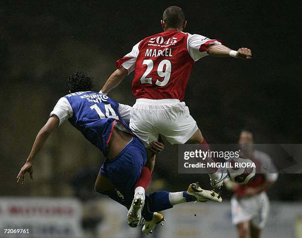 16 Marcel Ortolan Stock Photos, HighRes Pictures, and Images Getty