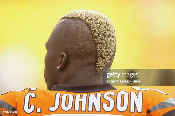 Chad Johnson of the Cincinnati Bengals looks on during the NFL game against the Pittsburgh Steelers on September 24, 2006 at Heinz Field in...