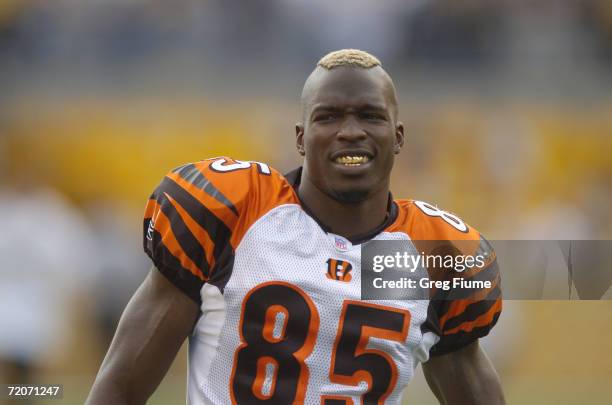 Chad Johnson of the Cincinnati Bengals looks on during the NFL game against the Pittsburgh Steelers on September 24, 2006 at Heinz Field in...