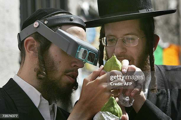An Ultra Orthodox Jew wears magnifying goggles to inspect the Citron  News Photo - Getty Images
