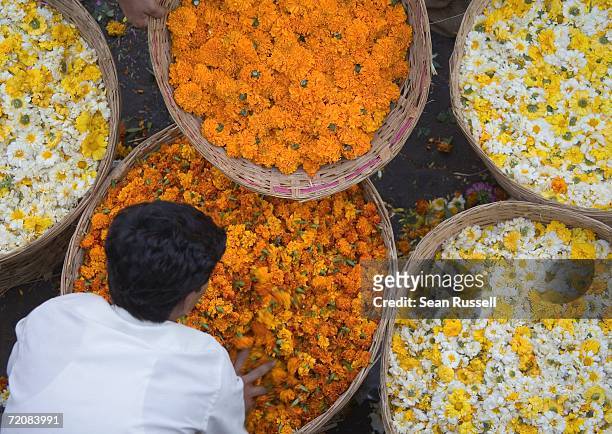 person bending over basket full of flowers at market, mumbai, india - mumbai market stock pictures, royalty-free photos & images