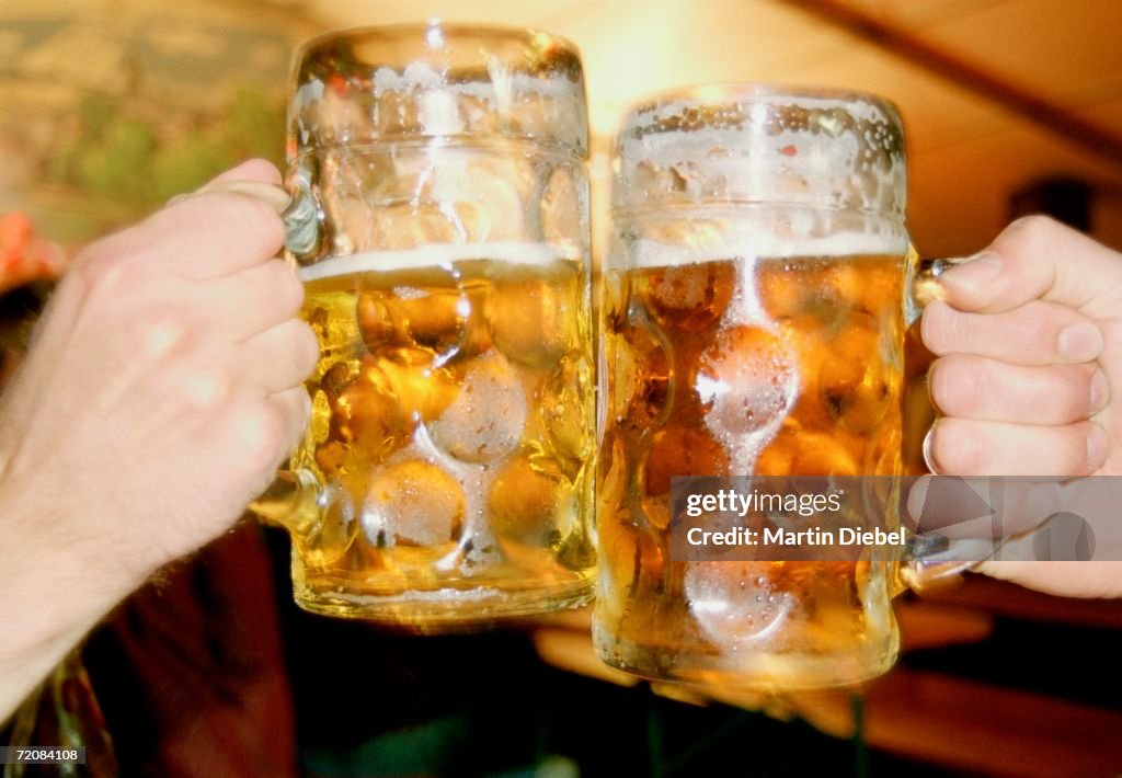 Two men toasting with beer steins