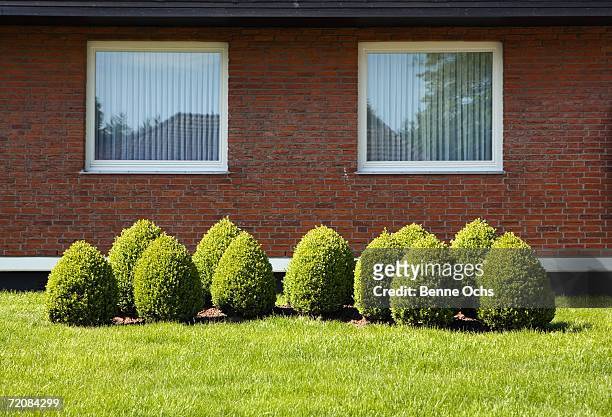 topiary garden in front of suburban house - topiary stock-fotos und bilder