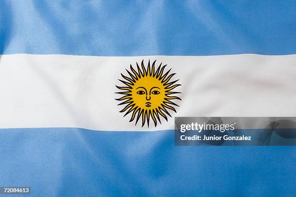 argentinean flag - drapeau argentin photos et images de collection