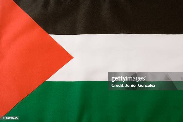 palestinian flag - cultura palestinese foto e immagini stock