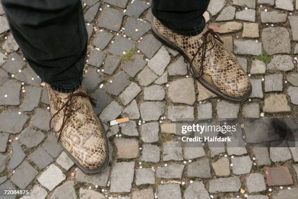 low section of man?s snake skin shoes - snake with legs stock pictures, royalty-free photos & images