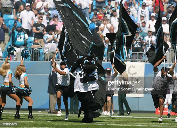 Carolina Panthers mascot Sir Purr leads the team on to the field to play against the New Orleans Saints at Bank Of America Stadium on October 1, 2006...