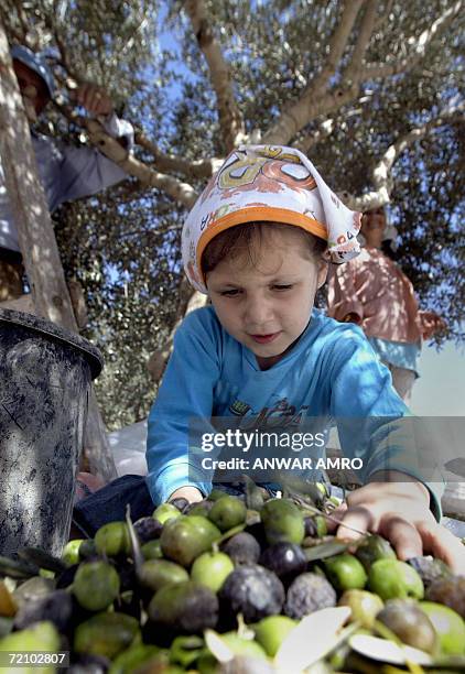 111 Alma Al Shaab Stock Photos, HighRes Pictures, and Images Getty