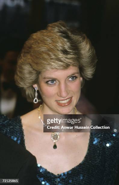 Princess Diana In Vienna Photos and Premium High Res Pictures - Getty ...