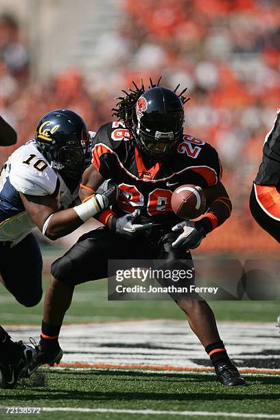 Yvenson Bernard of the Oregon State Beavers fumbles the ball against Desmond Bishop of the California Golden Bears on September 30, 2006 at Reser...