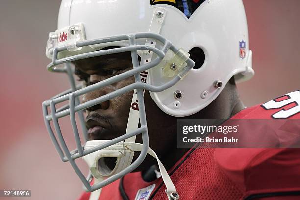 Defensive end Bertrand Berry of the Arizona Cardinals looks on during a game against the Kansas City Chiefs at University of Phoenix Stadium on...