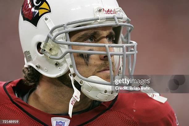 Tight end Adam Bergen of the Arizona Cardinals looks on during a game against the Kansas City Chiefs at University of Phoenix Stadium on October 8,...