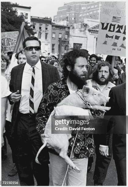 Member of the American pseudo political party the Yippies carries their candidate for the presidency, Pigasus, at a march at the intersection of...