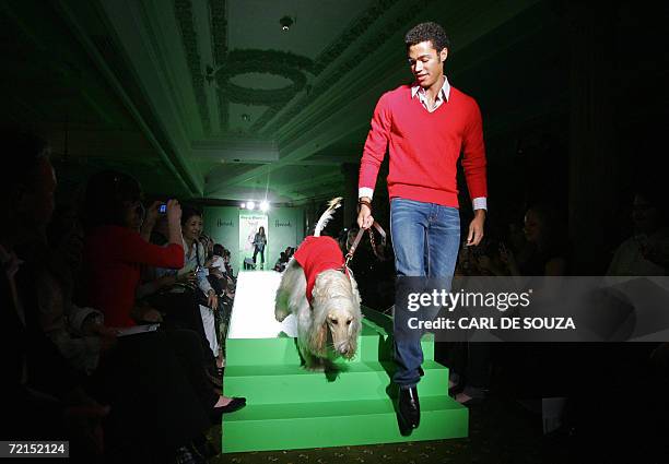 United Kingdom: A dog walks down with a model from the catwalk during the Pet-A-Porter fashion show at Harrods retail store, 11 October 2006 in...