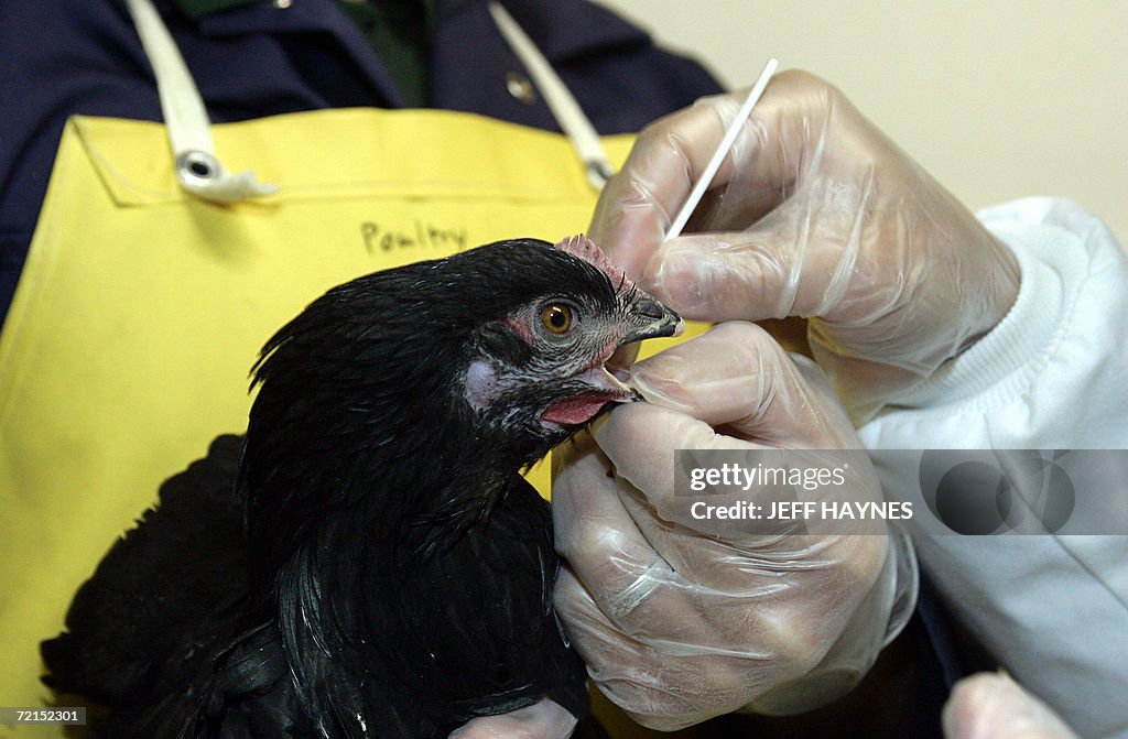 Sara Williams (R) from the Minnesota Boa