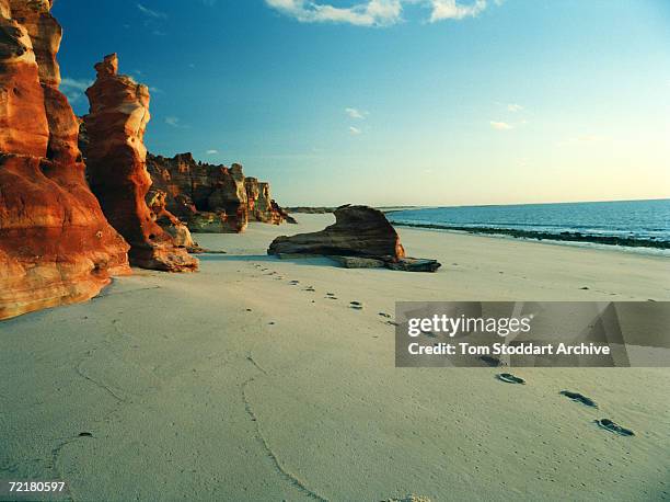 Footprints in the sand and blood red rock formations on the beach at Cape Leveque.