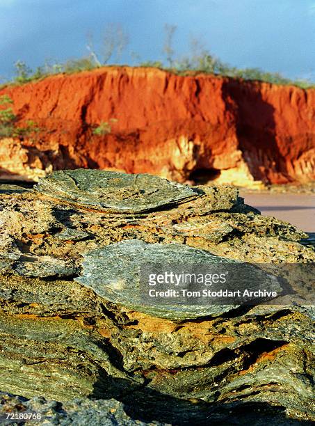 Fossilised dinosaur footprint on the coast at Broome near Perth, Western Australia.