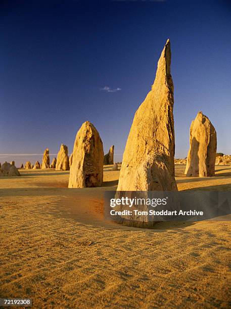 Limestone pillars, known as The Pinnacles, stand in the desert in Nambung National Park near Cervantes, Western Australia.