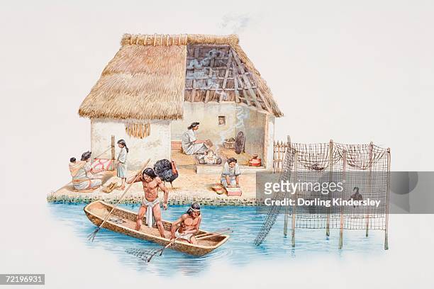 cross-section illustration of riverside aztec dwelling with thatched roof, woman inside sitting attending to fire, women and girl outside doing handicrafts, two men in boat catching fish with spears on river. - thatched roof stock-grafiken, -clipart, -cartoons und -symbole