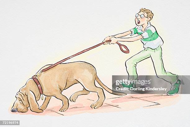 dog on leash sniffing the ground and pulling forward the man walking it. - dog pulling stock illustrations