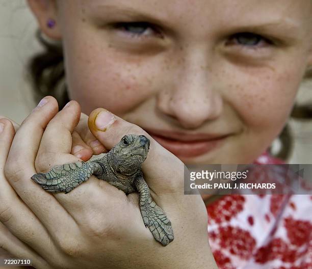 Lauren Oney, 9-years-old, holds a newly hatched baby turtle at the Campamento Tortuguero turtle hatchery near the Presidente Intercontential Hotel in...