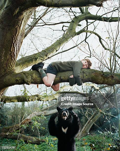 garçon escalade dans un arbre escapade bear - attaquant photos et images de collection