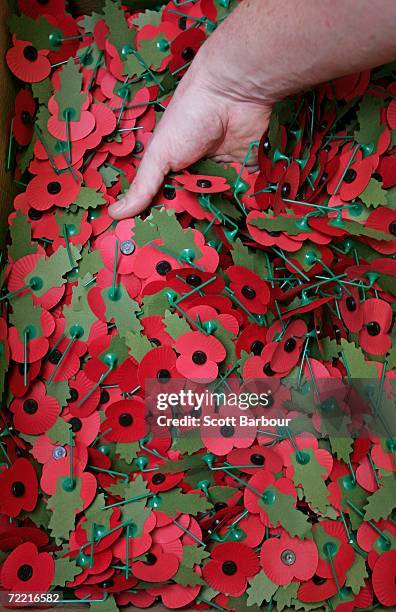 Worker grabs a handful of poppies from a box at The Royal British Legion Poppy Factory on October 19, 2006 in London, England. The Poppy Factory will...
