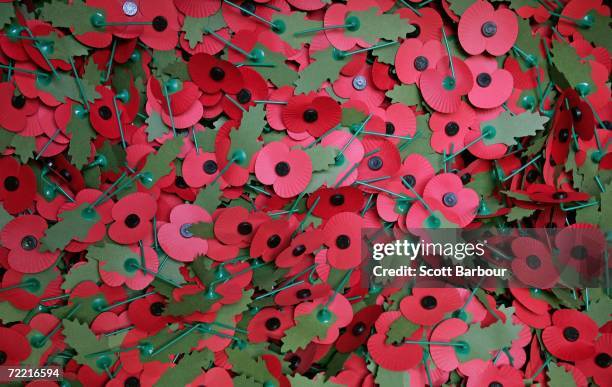 Poppies sit in a box ready to be distributed at The Royal British Legion Poppy Factory on October 19, 2006 in London, England. The Poppy Factory will...