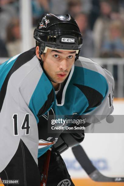 Jonathan Cheechoo of the San Jose Sharks readies for a faceoff during the game against the New York Islanders on October 16, 2006 at the HP Pavilion...