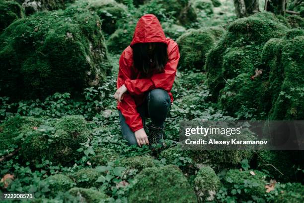 caucasian woman kneeling in lush forest - spital am pyhrn stock pictures, royalty-free photos & images