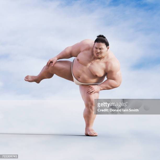 sumo wrestler standing on one leg - ringen stock-fotos und bilder
