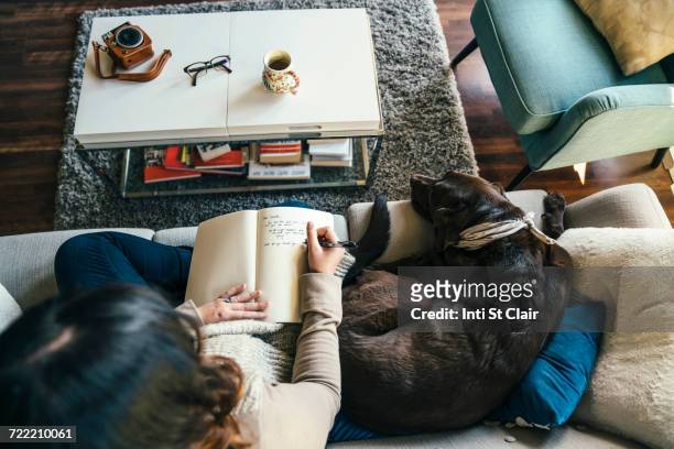 mixed race woman on sofa with dog writing in journal - dog pad stock pictures, royalty-free photos & images