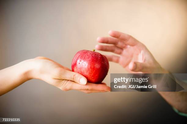 hand of woman offering red apple to man - temptation apple stock pictures, royalty-free photos & images